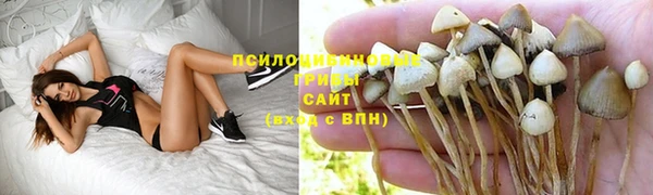кокаин колумбия Белокуриха