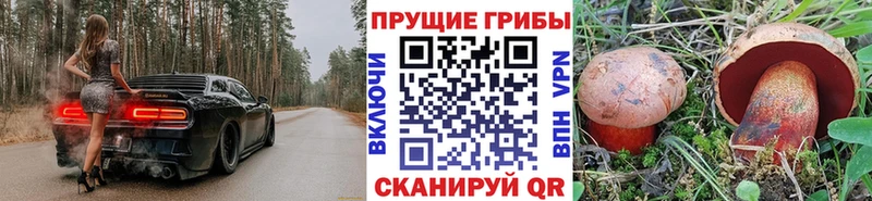 Купить закладки  Дивногорск  Галлюциногенные грибы прущие грибы 