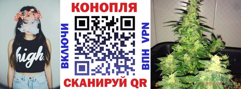 Каннабис White Widow  Купить  Дивногорск 